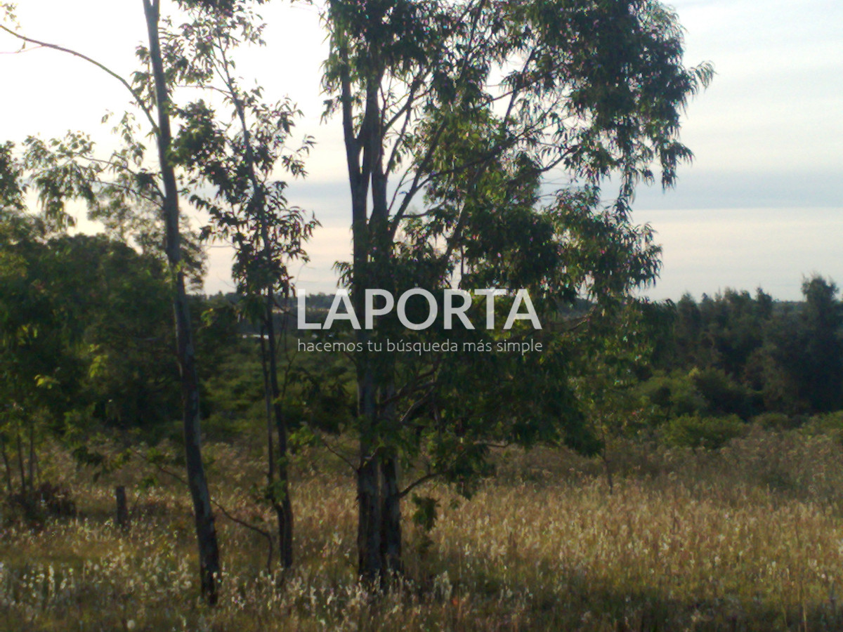 Chacra ID.1114/Chacra-en-venta-en-Costanera-Norte-con-financiación - Chacra en venta en Costanera Norte con financiación