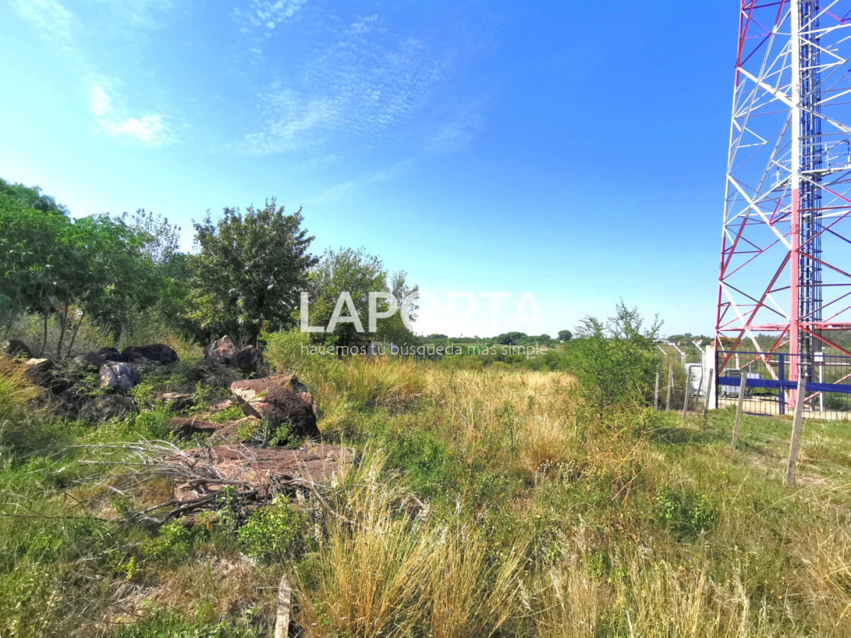 Chacra ID.1743/Chacra-con-casa-en-la-planta-Urbana-de-Salto - Chacra con casa en la planta Urbana de Salto