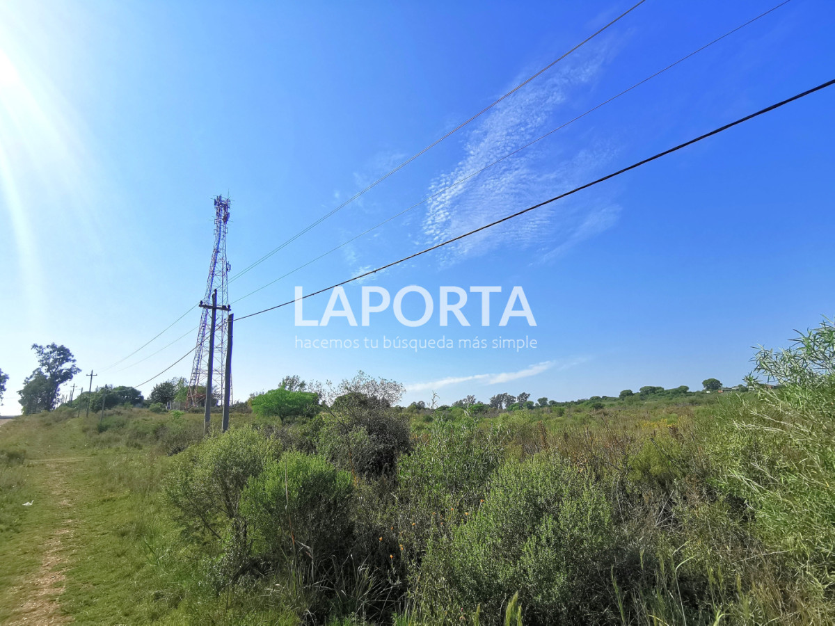 Chacra ID.1743/Chacra-con-casa-en-la-planta-Urbana-de-Salto - Chacra con casa en la planta Urbana de Salto