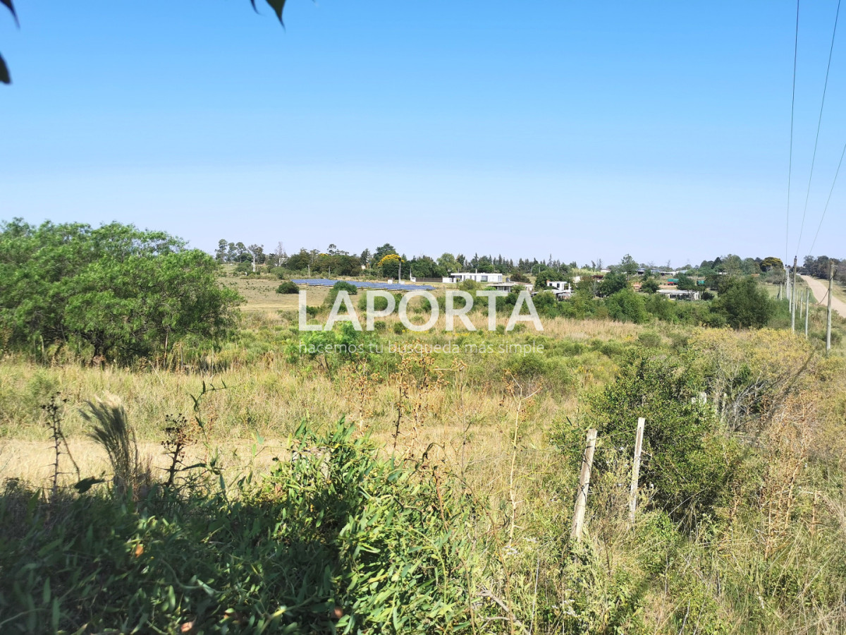 Chacra ID.1743/Chacra-con-casa-en-la-planta-Urbana-de-Salto - Chacra con casa en la planta Urbana de Salto