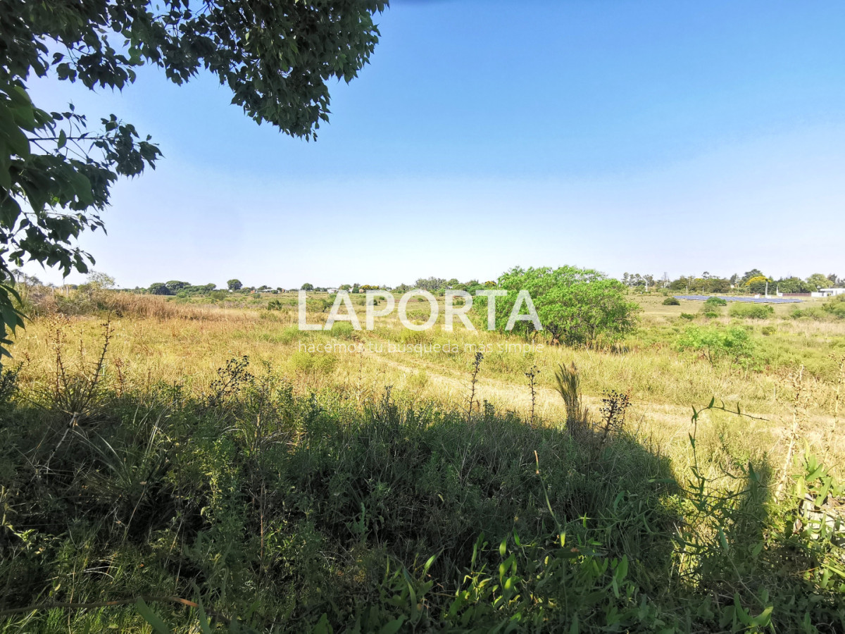 Chacra ID.1743/Chacra-con-casa-en-la-planta-Urbana-de-Salto - Chacra con casa en la planta Urbana de Salto