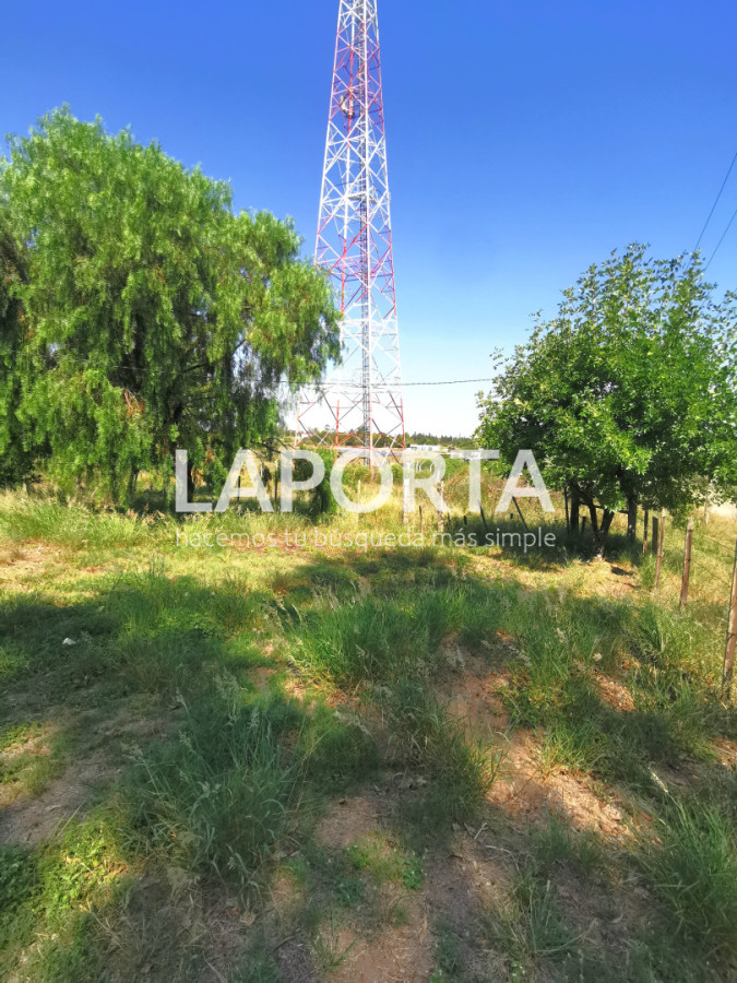 Chacra ID.1743/Chacra-con-casa-en-la-planta-Urbana-de-Salto - Chacra con casa en la planta Urbana de Salto