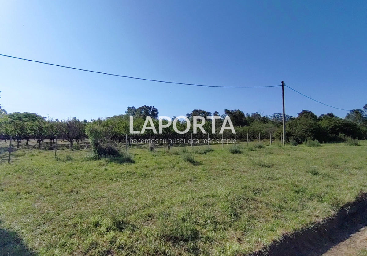 Chacra ID.1319/Chacra-en-venta-próxima-al-Hipódromo,-Salto. - Chacra en venta próxima al Hipódromo, Salto.