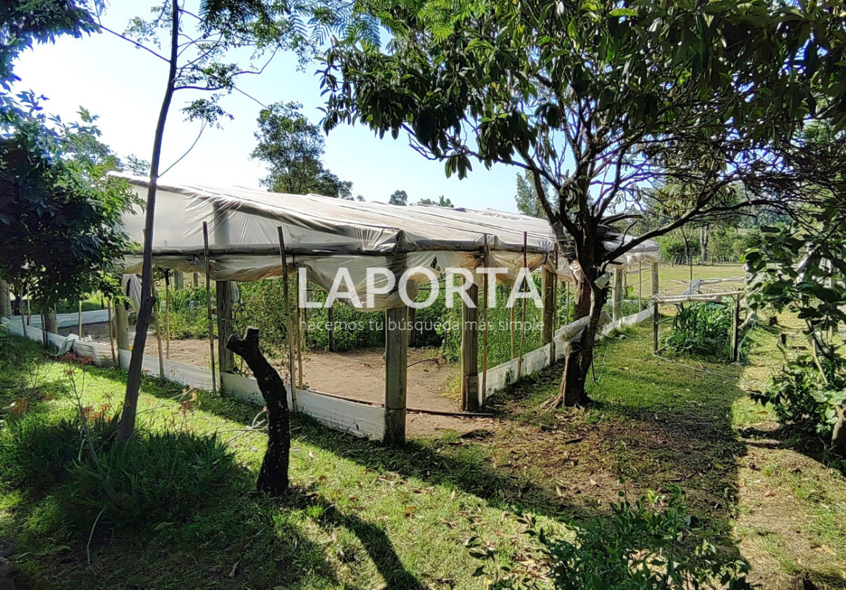 Chacra ID.1319/Chacra-en-venta-próxima-al-Hipódromo,-Salto. - Chacra en venta próxima al Hipódromo, Salto.