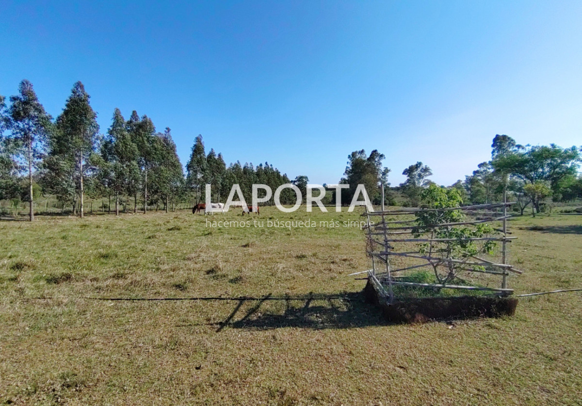 Chacra ID.1319/Chacra-en-venta-próxima-al-Hipódromo,-Salto. - Chacra en venta próxima al Hipódromo, Salto.