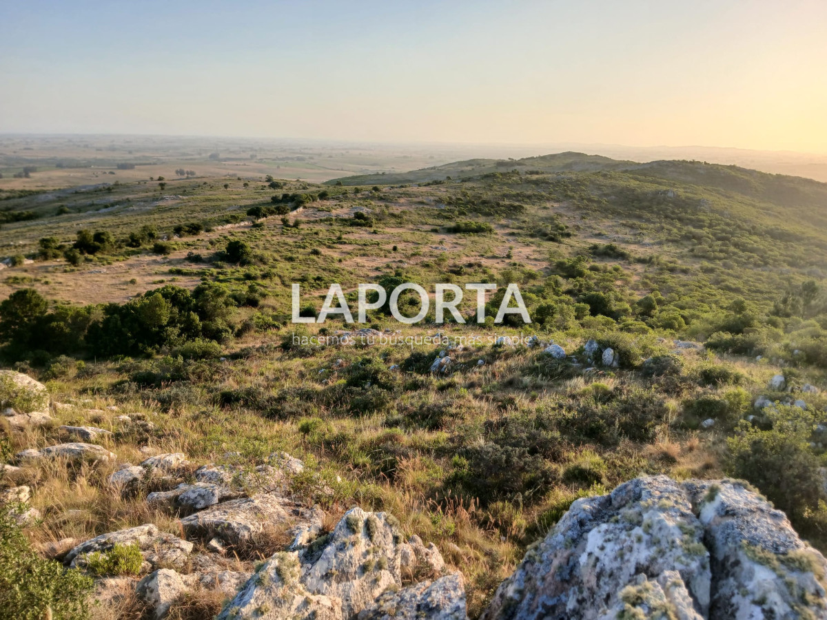 Chacra ID.649/Chacras-turísticas-en-Venta-en-Punta-del-Este - Chacras turísticas en Venta en Punta del Este