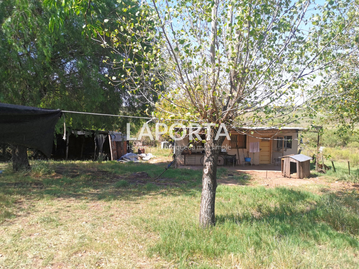 Chacra ID.1743/Chacra-con-casa-en-la-planta-Urbana-de-Salto - Chacra con casa en la planta Urbana de Salto