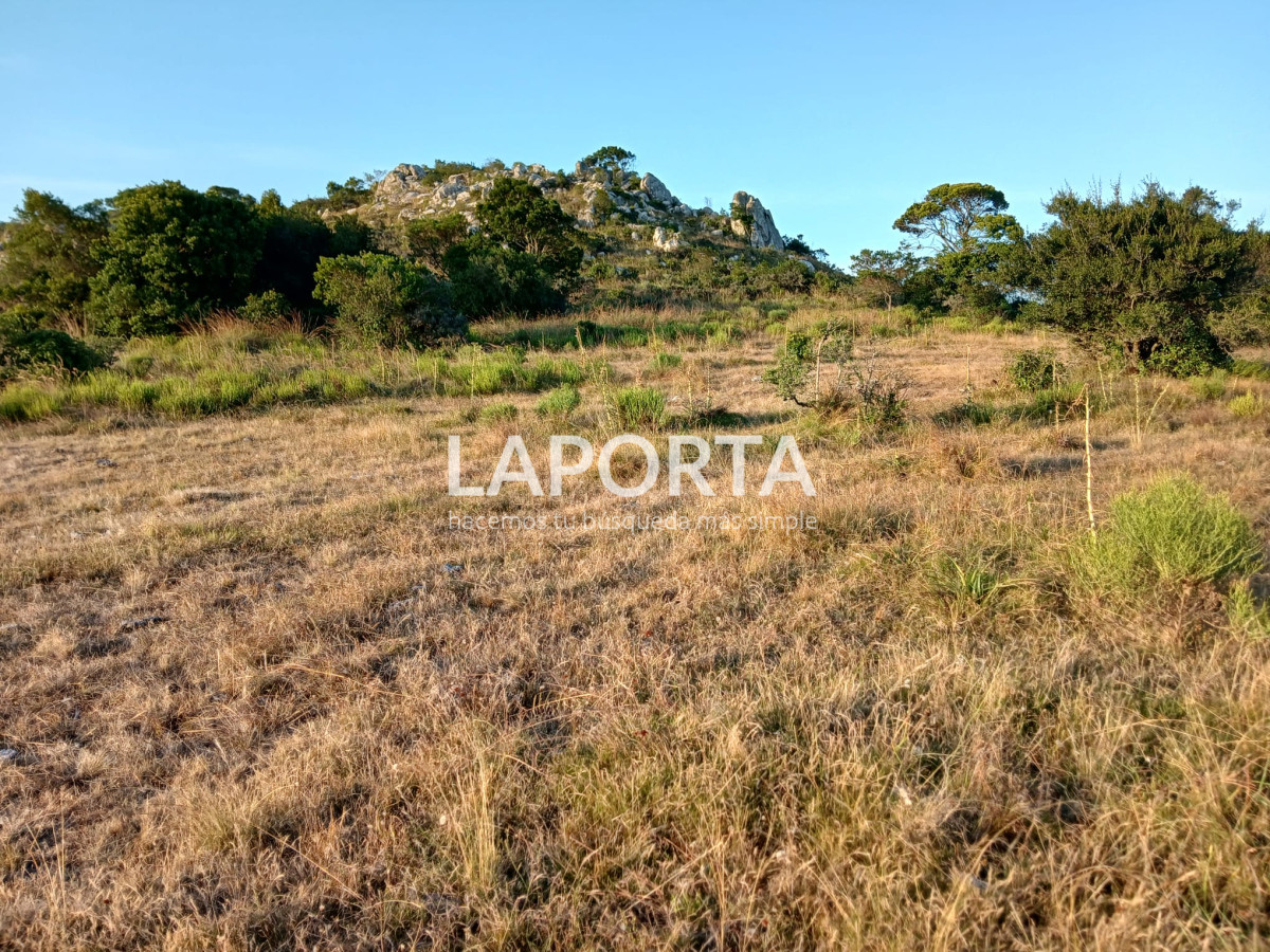 Chacra ID.649/Chacras-turísticas-en-Venta-en-Punta-del-Este - Chacras turísticas en Venta en Punta del Este