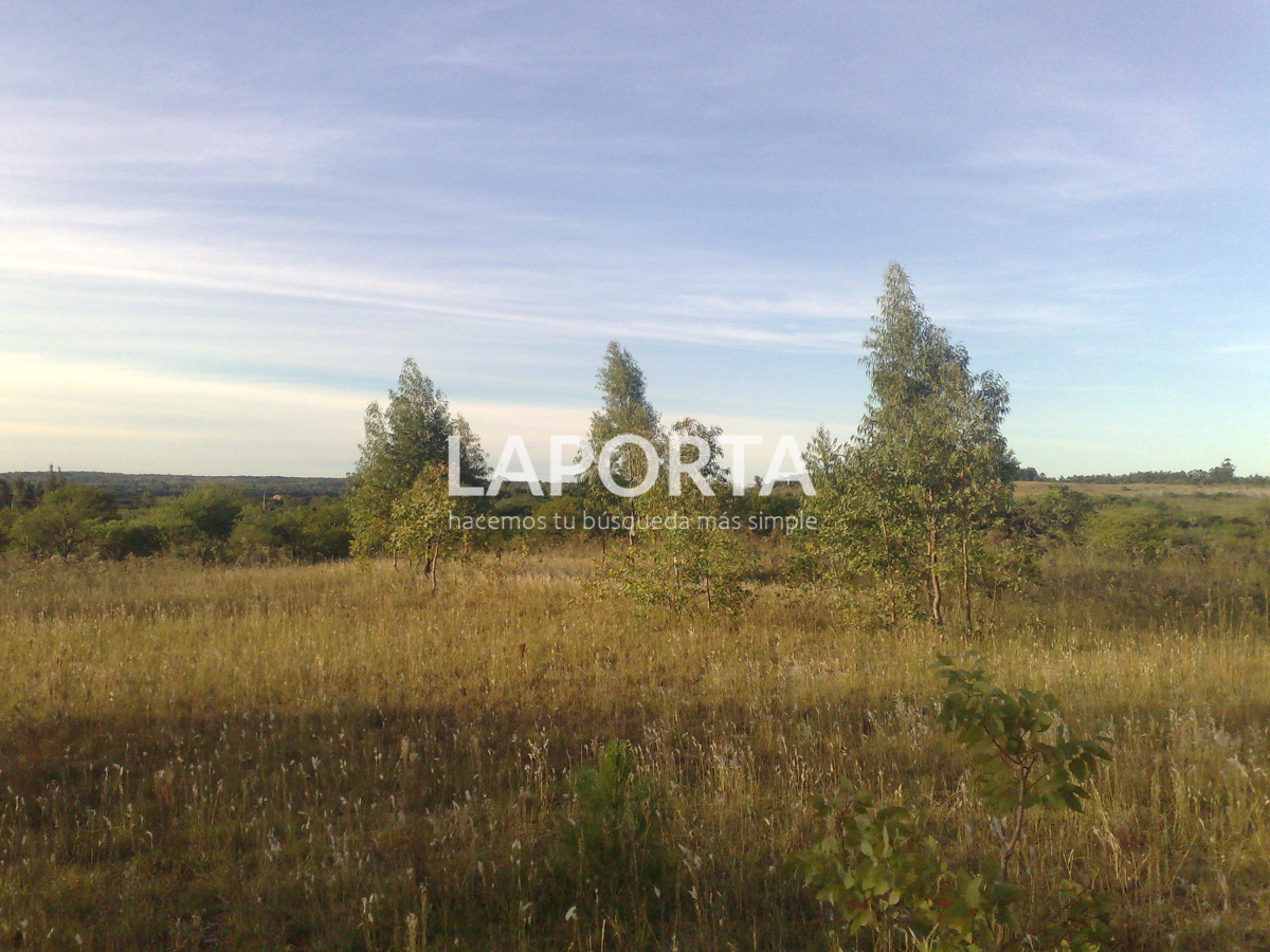 Chacra ID.1114/Chacra-en-venta-en-Costanera-Norte-con-financiación - Chacra en venta en Costanera Norte con financiación