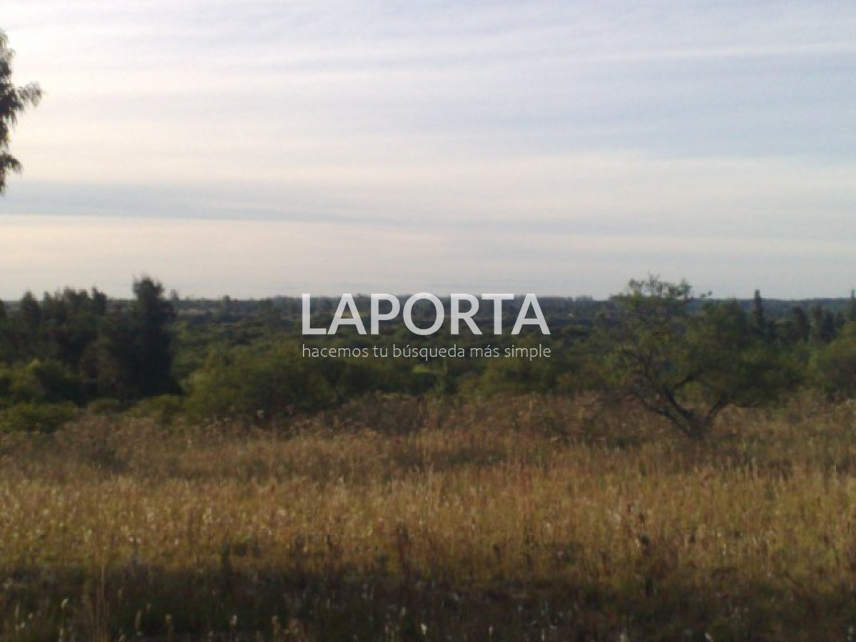 Chacra ID.1114/Chacra-en-venta-en-Costanera-Norte-con-financiación - Chacra en venta en Costanera Norte con financiación