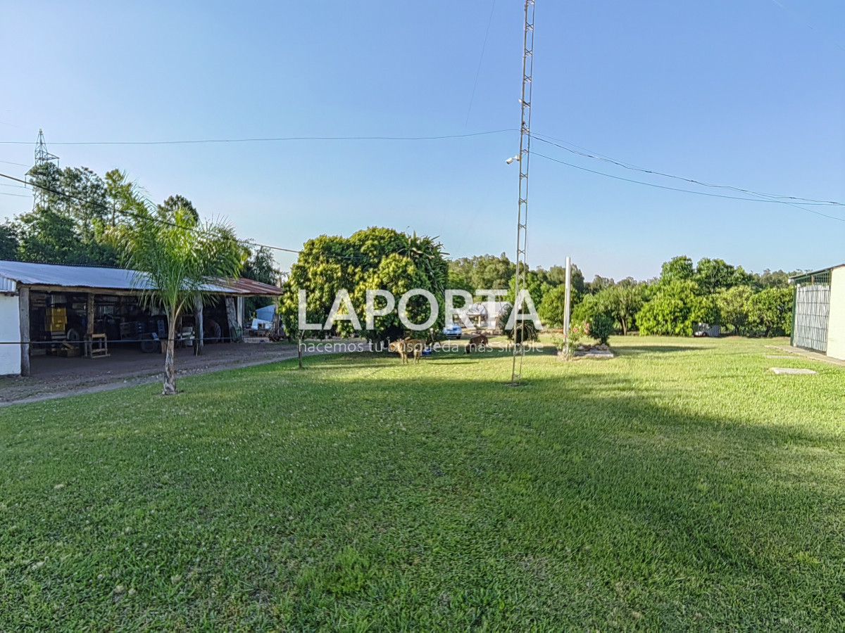 Chacra ID.482/Chacra-en-Zona-Hipódromo:-Oportunidad-para-Comprar-una-Propiedad-Única-en-Producción - Chacra en Zona Hipódromo: Oportunidad para Comprar una Propiedad Única en Producción