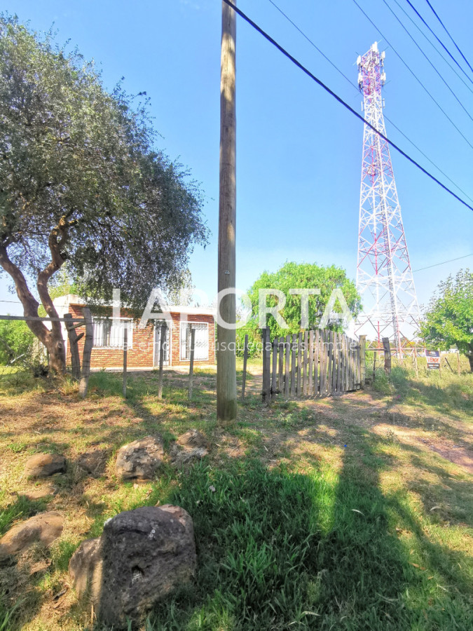 Chacra ID.1743/Chacra-con-casa-en-la-planta-Urbana-de-Salto - Chacra con casa en la planta Urbana de Salto