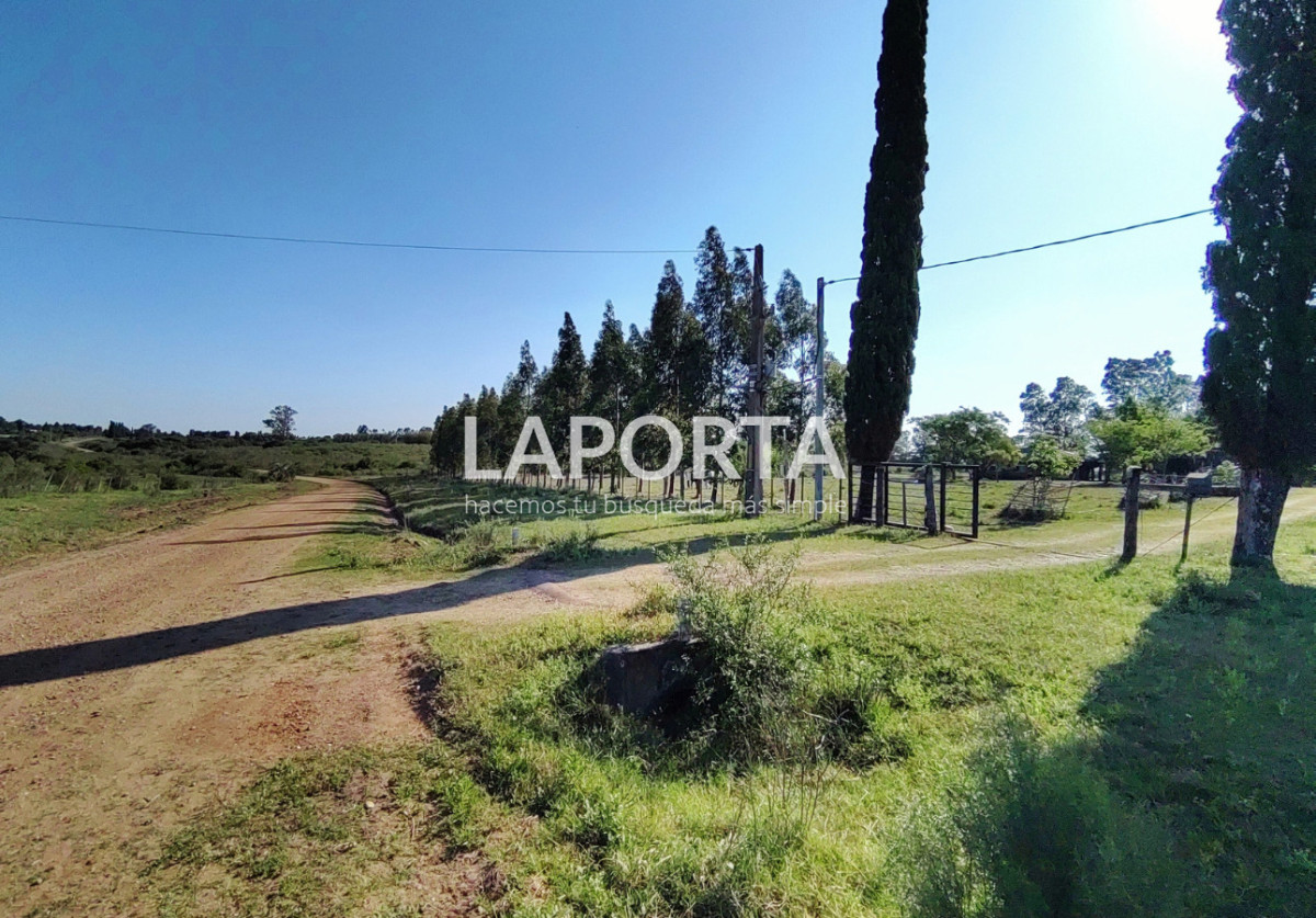 Chacra ID.1319/Chacra-en-venta-próxima-al-Hipódromo,-Salto. - Chacra en venta próxima al Hipódromo, Salto.