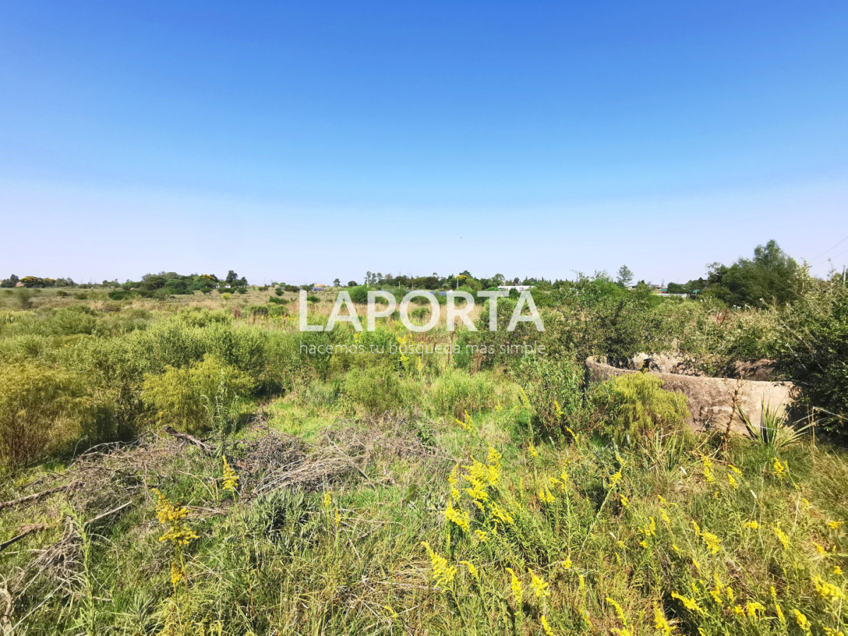 Chacra ID.1743/Chacra-con-casa-en-la-planta-Urbana-de-Salto - Chacra con casa en la planta Urbana de Salto