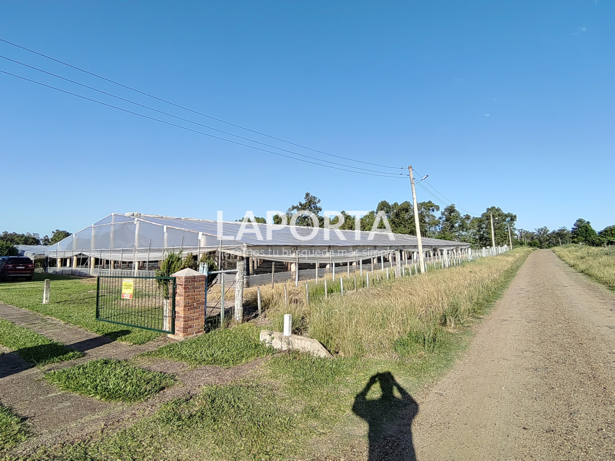 Chacra ID.482/Chacra-en-Zona-Hipódromo:-Oportunidad-para-Comprar-una-Propiedad-Única-en-Producción - Chacra en Zona Hipódromo: Oportunidad para Comprar una Propiedad Única en Producción