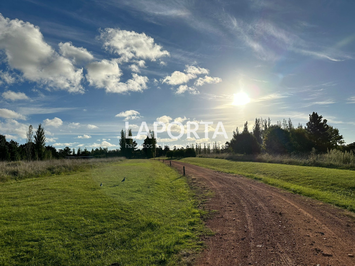 Chacra ID.318 - casa quinta en venta en Punta del Este