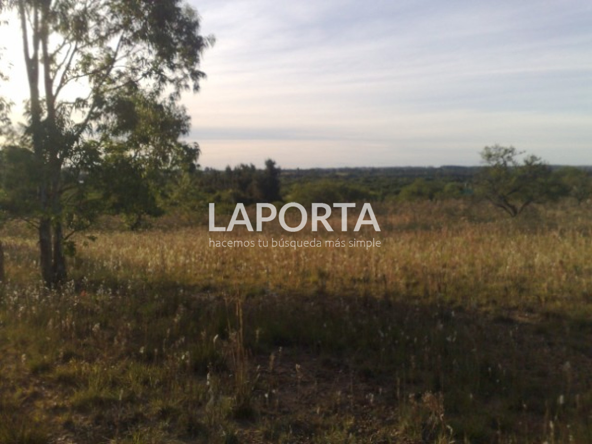 Chacra ID.1114/Chacra-en-venta-en-Costanera-Norte-con-financiación - Chacra en venta en Costanera Norte con financiación