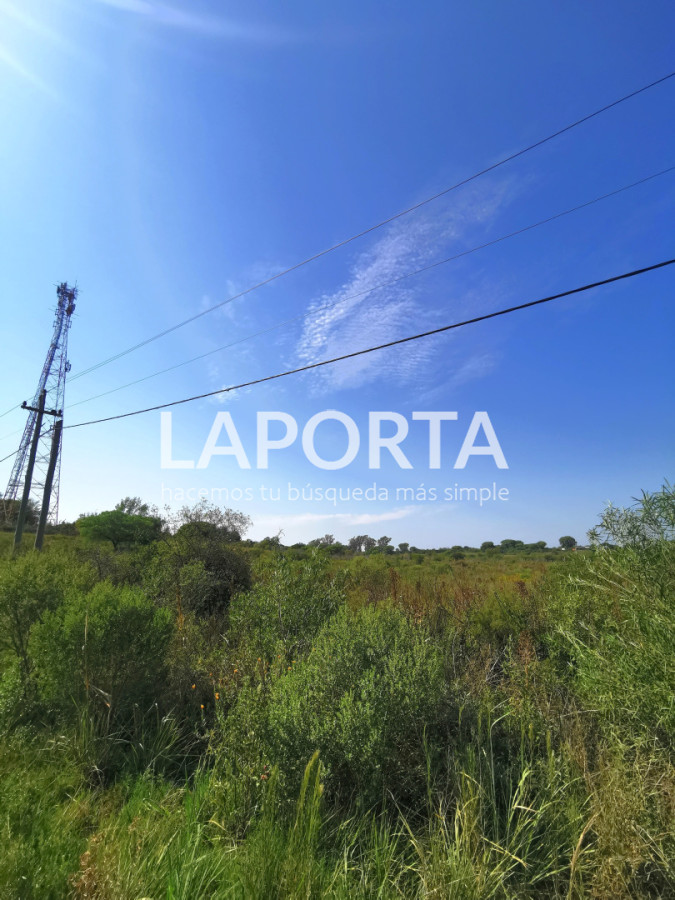 Chacra ID.1743/Chacra-con-casa-en-la-planta-Urbana-de-Salto - Chacra con casa en la planta Urbana de Salto
