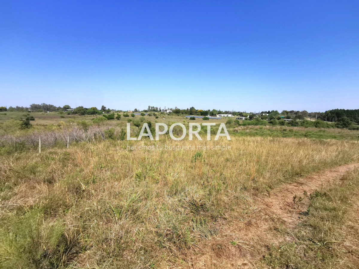 Chacra ID.1743/Chacra-con-casa-en-la-planta-Urbana-de-Salto - Chacra con casa en la planta Urbana de Salto