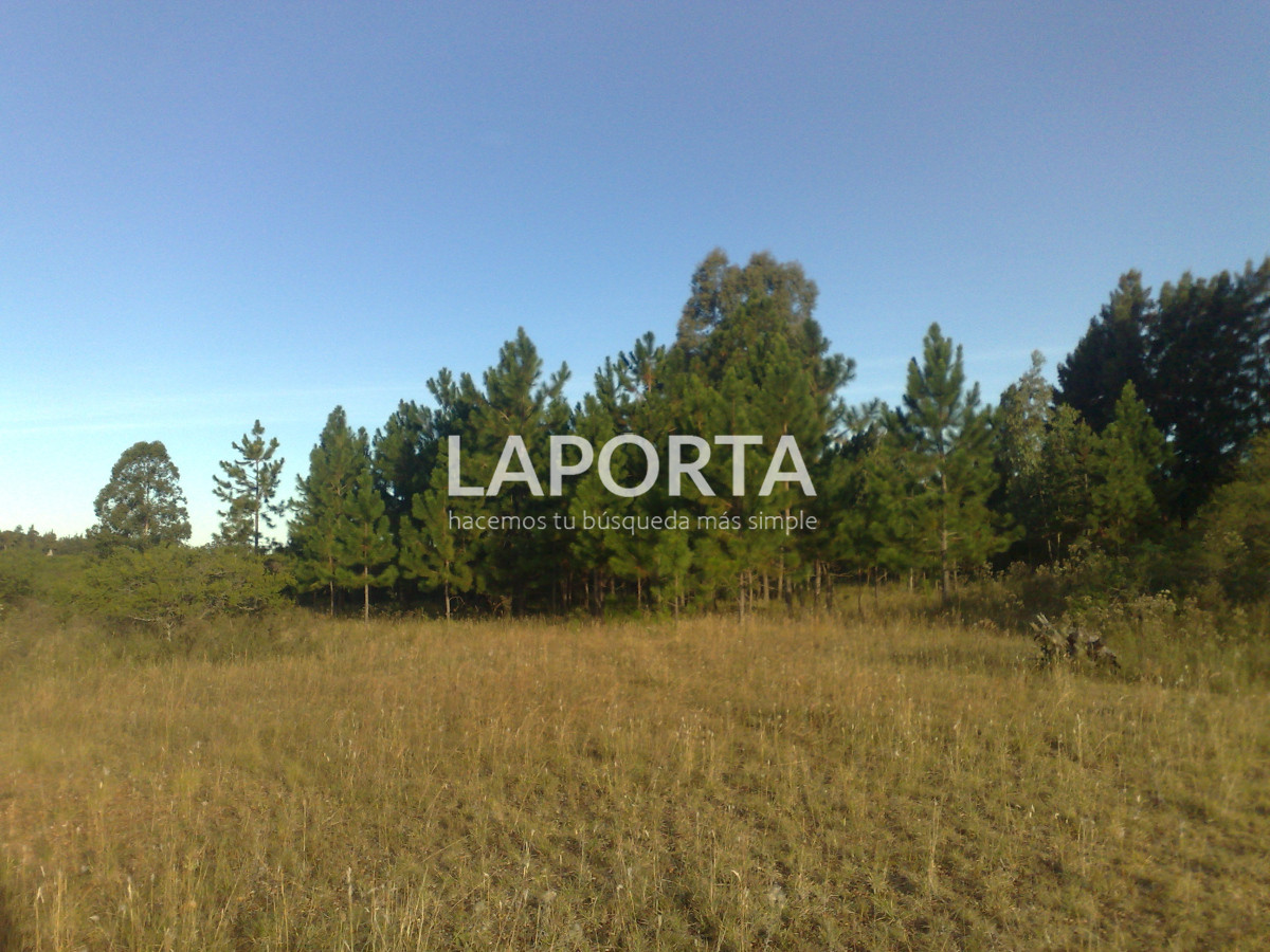 Chacra ID.1114/Chacra-en-venta-en-Costanera-Norte-con-financiación - Chacra en venta en Costanera Norte con financiación