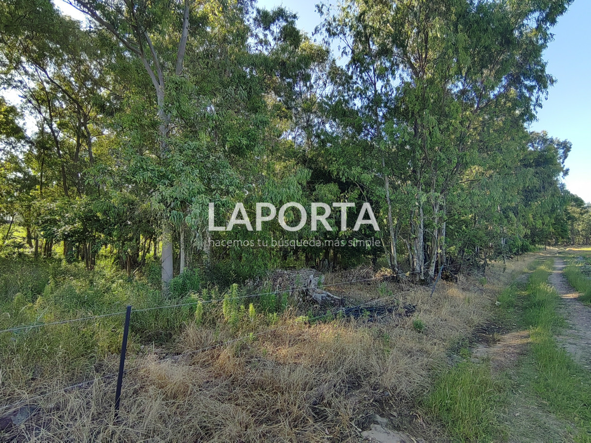 Chacra ID.482/Chacra-en-Zona-Hipódromo:-Oportunidad-para-Comprar-una-Propiedad-Única-en-Producción - Chacra en Zona Hipódromo: Oportunidad para Comprar una Propiedad Única en Producción