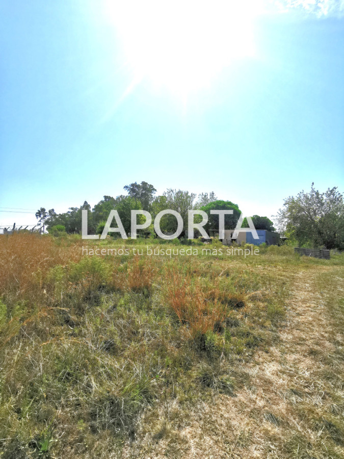 Chacra ID.1743/Chacra-con-casa-en-la-planta-Urbana-de-Salto - Chacra con casa en la planta Urbana de Salto