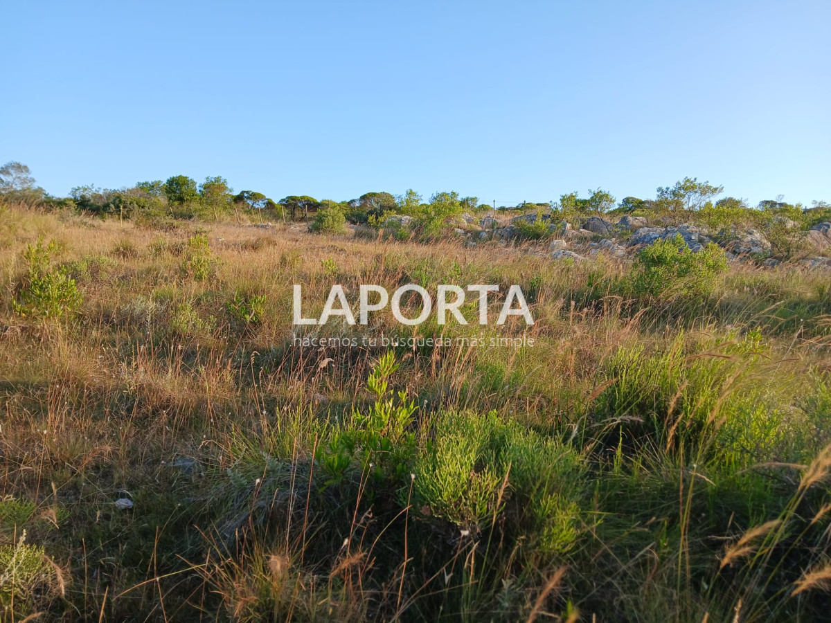 Chacra ID.649/Chacras-turísticas-en-Venta-en-Punta-del-Este - Chacras turísticas en Venta en Punta del Este