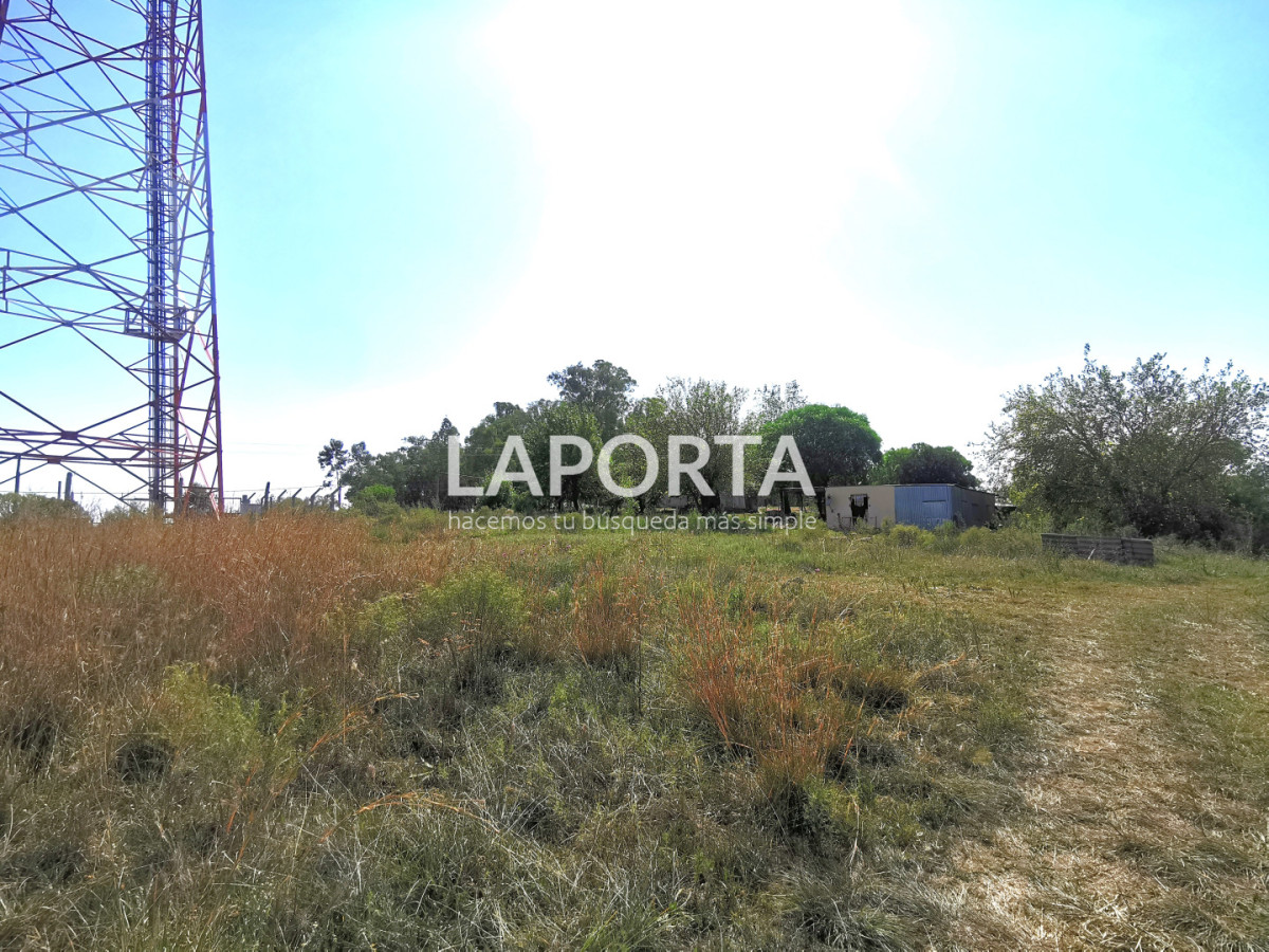 Chacra ID.1743/Chacra-con-casa-en-la-planta-Urbana-de-Salto - Chacra con casa en la planta Urbana de Salto