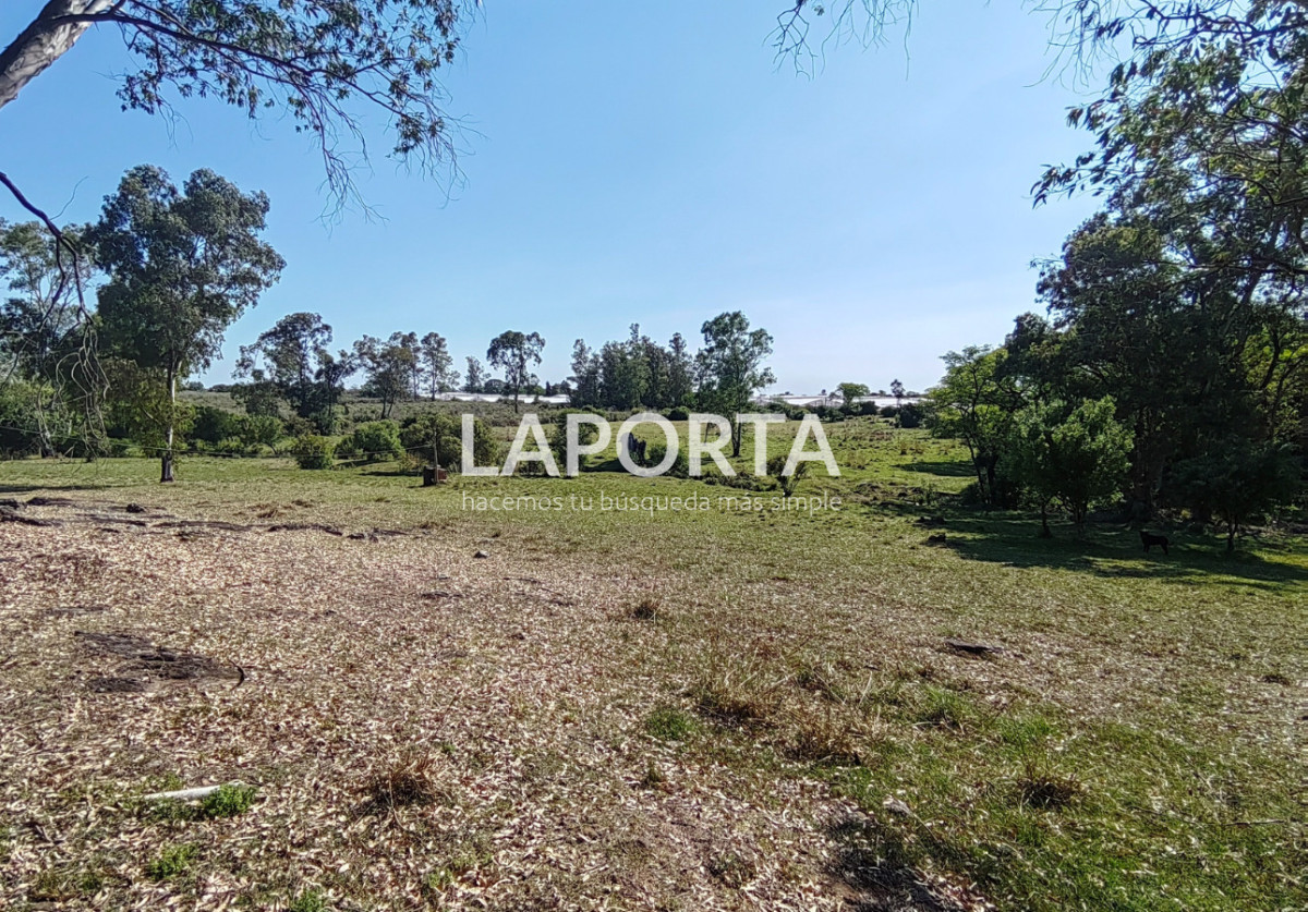 Chacra ID.1319/Chacra-en-venta-próxima-al-Hipódromo,-Salto. - Chacra en venta próxima al Hipódromo, Salto.
