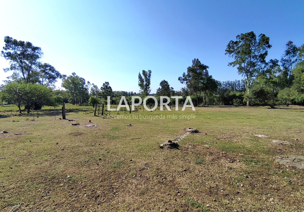 Chacra ID.1319/Chacra-en-venta-próxima-al-Hipódromo,-Salto. - Chacra en venta próxima al Hipódromo, Salto.