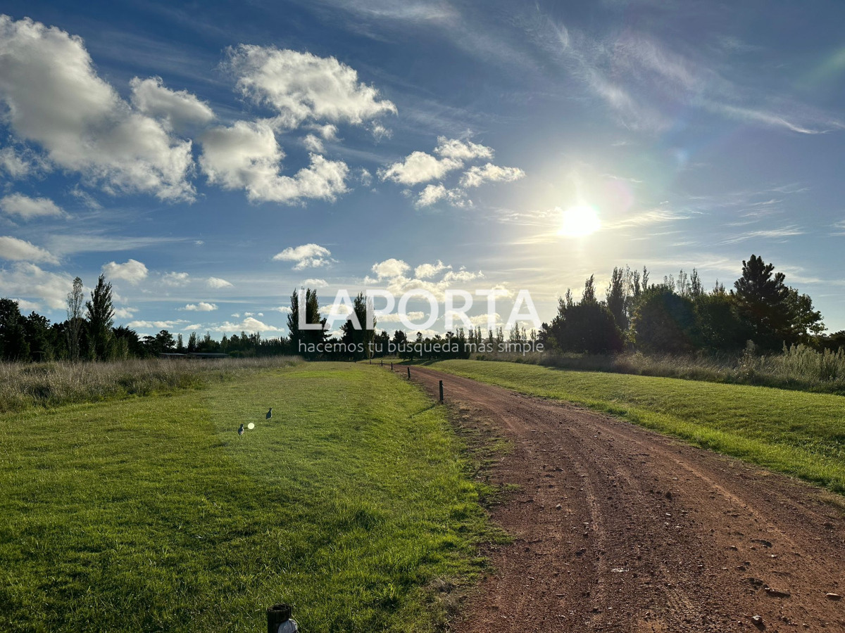 Chacra ID.318 - casa quinta en venta en Punta del Este