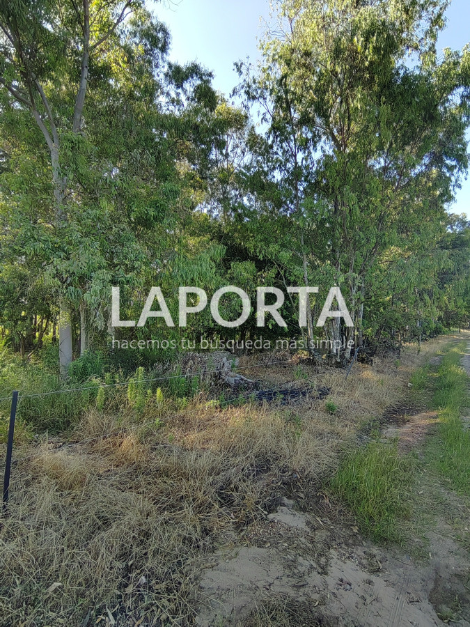 Chacra ID.482/Chacra-en-Zona-Hipódromo:-Oportunidad-para-Comprar-una-Propiedad-Única-en-Producción - Chacra en Zona Hipódromo: Oportunidad para Comprar una Propiedad Única en Producción