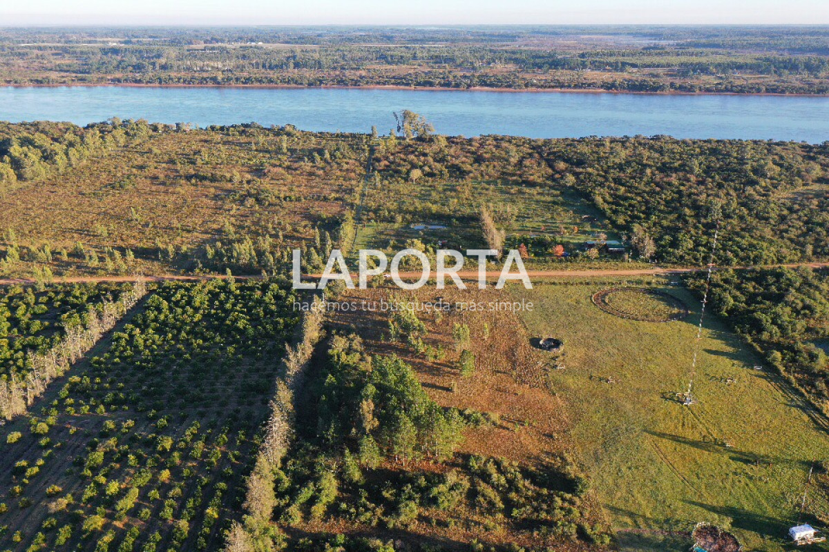 Chacra ID.1114/Chacra-en-venta-en-Costanera-Norte-con-financiación - Chacra en venta en Costanera Norte con financiación