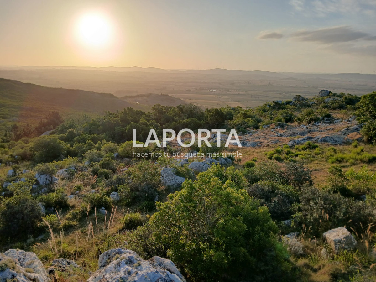 Chacra ID.649/Chacras-turísticas-en-Venta-en-Punta-del-Este - Chacras turísticas en Venta en Punta del Este