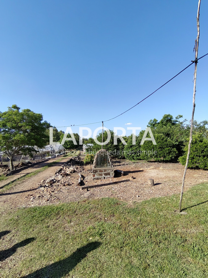 Chacra ID.482/Chacra-en-Zona-Hipódromo:-Oportunidad-para-Comprar-una-Propiedad-Única-en-Producción - Chacra en Zona Hipódromo: Oportunidad para Comprar una Propiedad Única en Producción