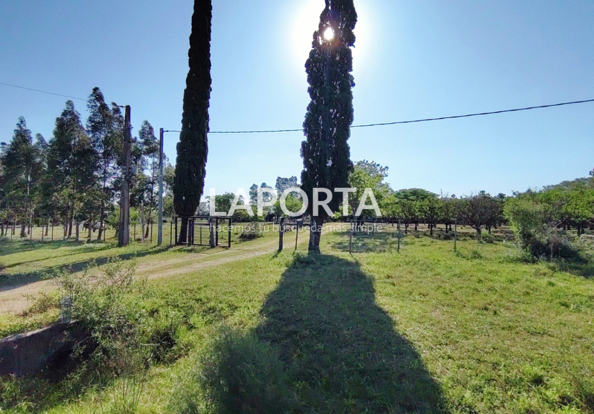 Chacra ID.1319/Chacra-en-venta-próxima-al-Hipódromo,-Salto. - Chacra en venta próxima al Hipódromo, Salto.