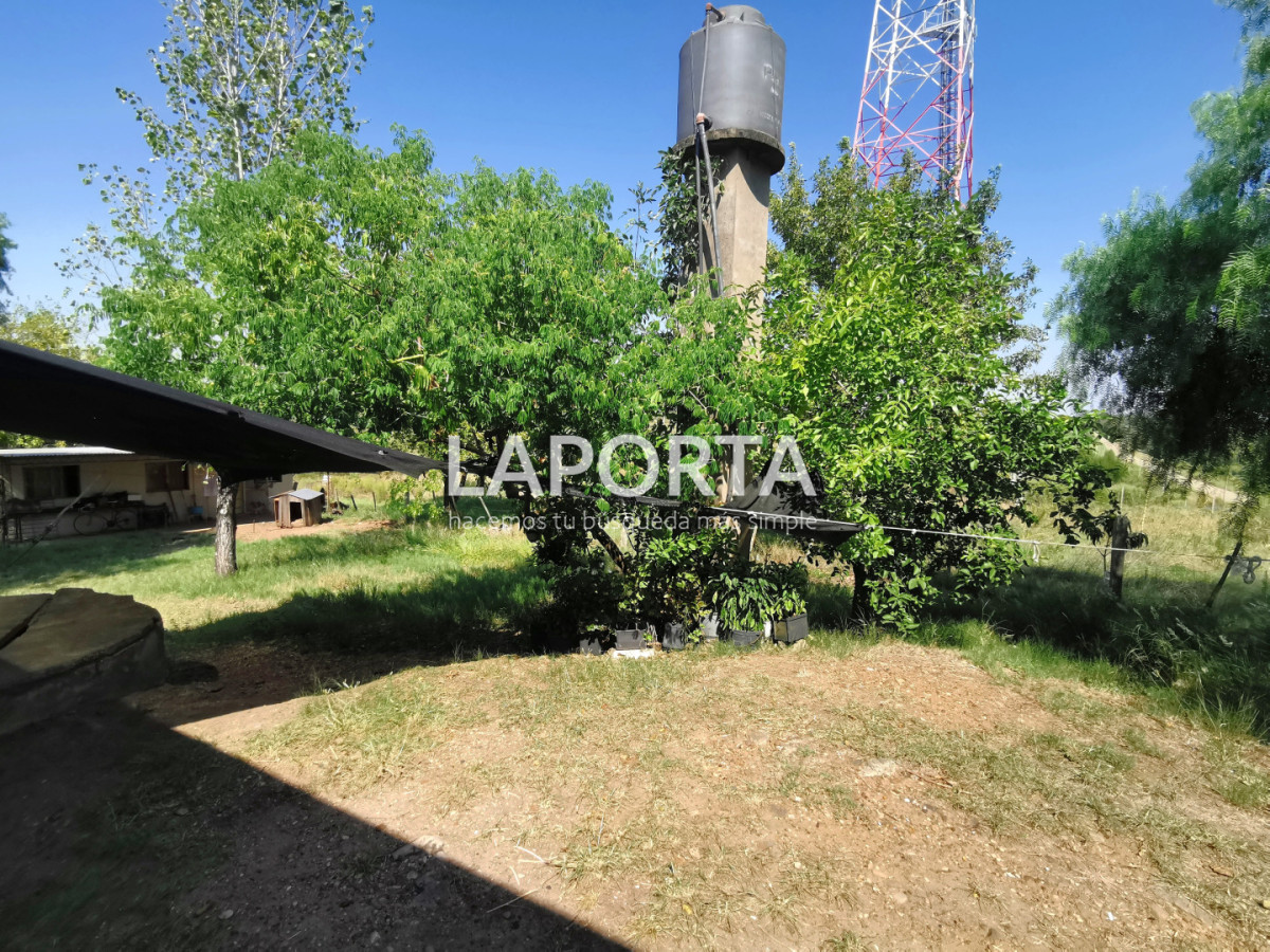 Chacra ID.1743/Chacra-con-casa-en-la-planta-Urbana-de-Salto - Chacra con casa en la planta Urbana de Salto