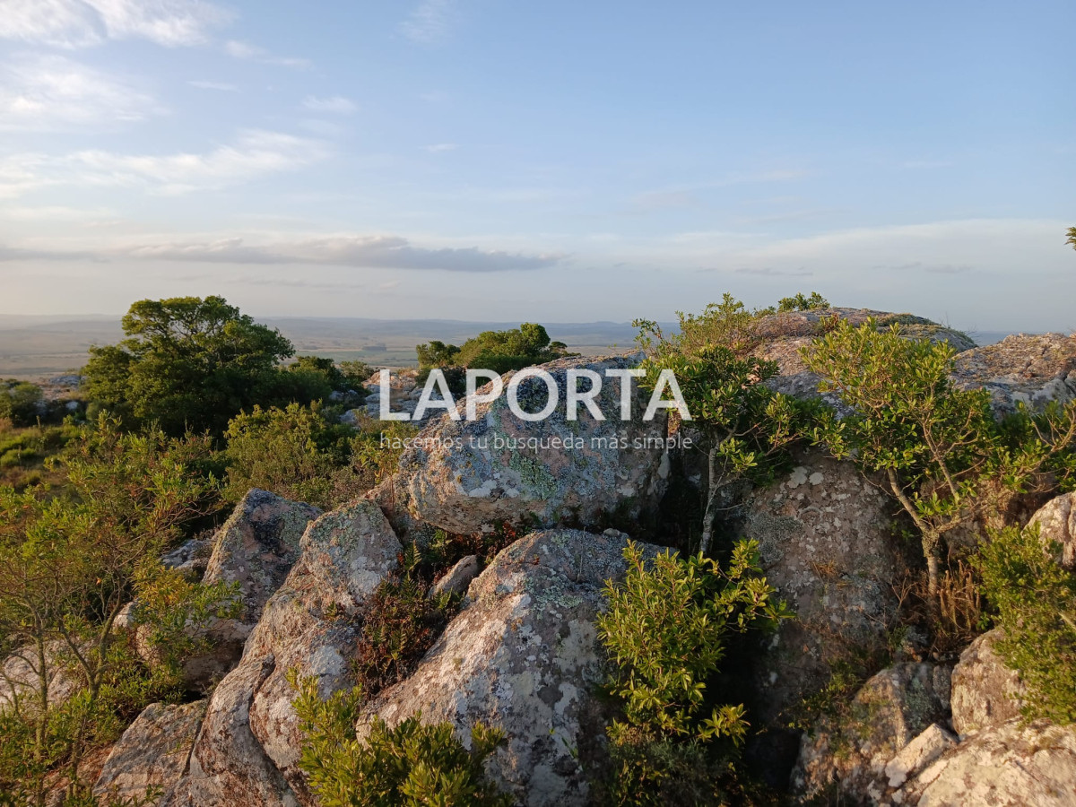 Chacra ID.649/Chacras-turísticas-en-Venta-en-Punta-del-Este - Chacras turísticas en Venta en Punta del Este