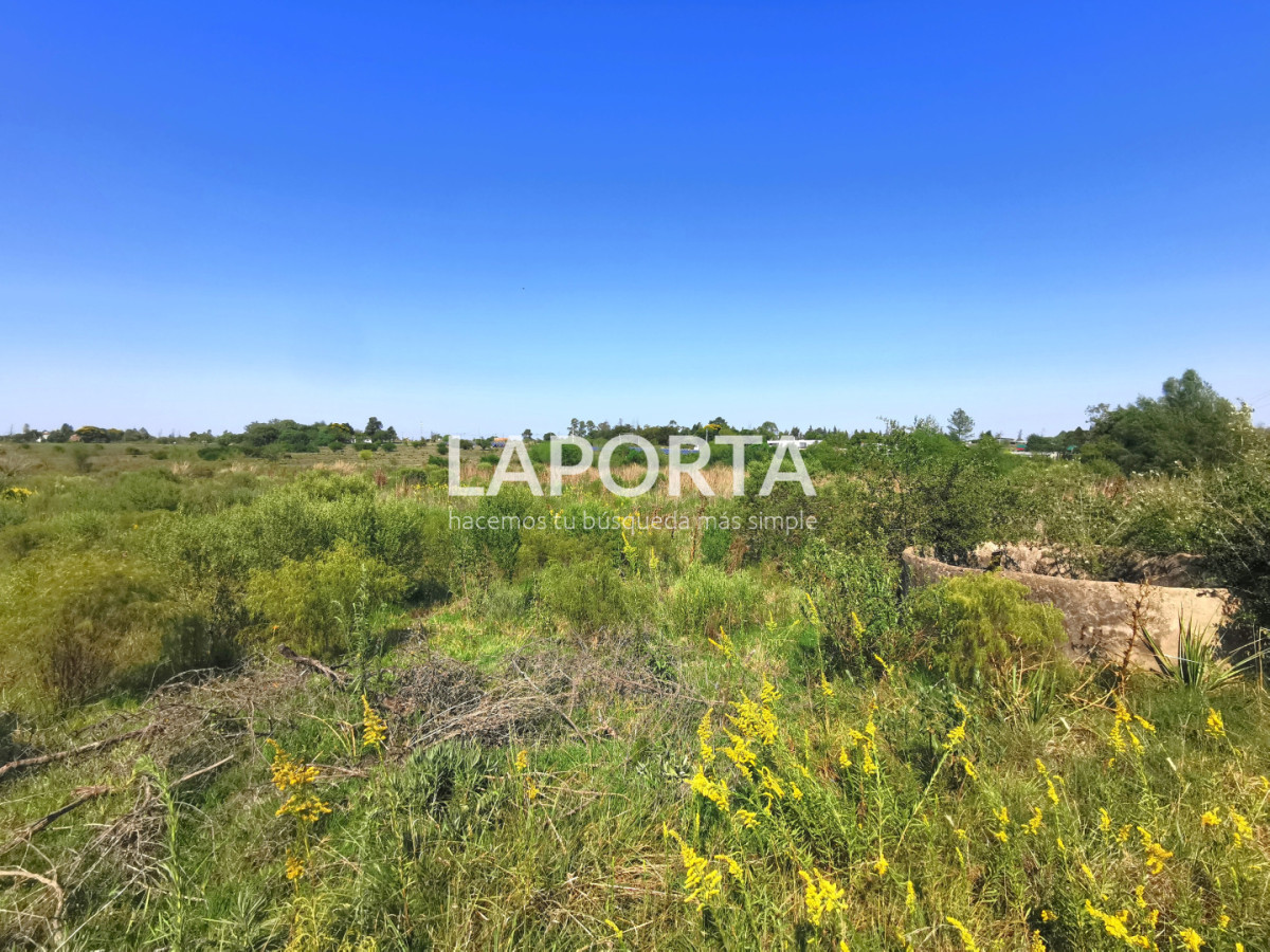 Chacra ID.1743/Chacra-con-casa-en-la-planta-Urbana-de-Salto - Chacra con casa en la planta Urbana de Salto