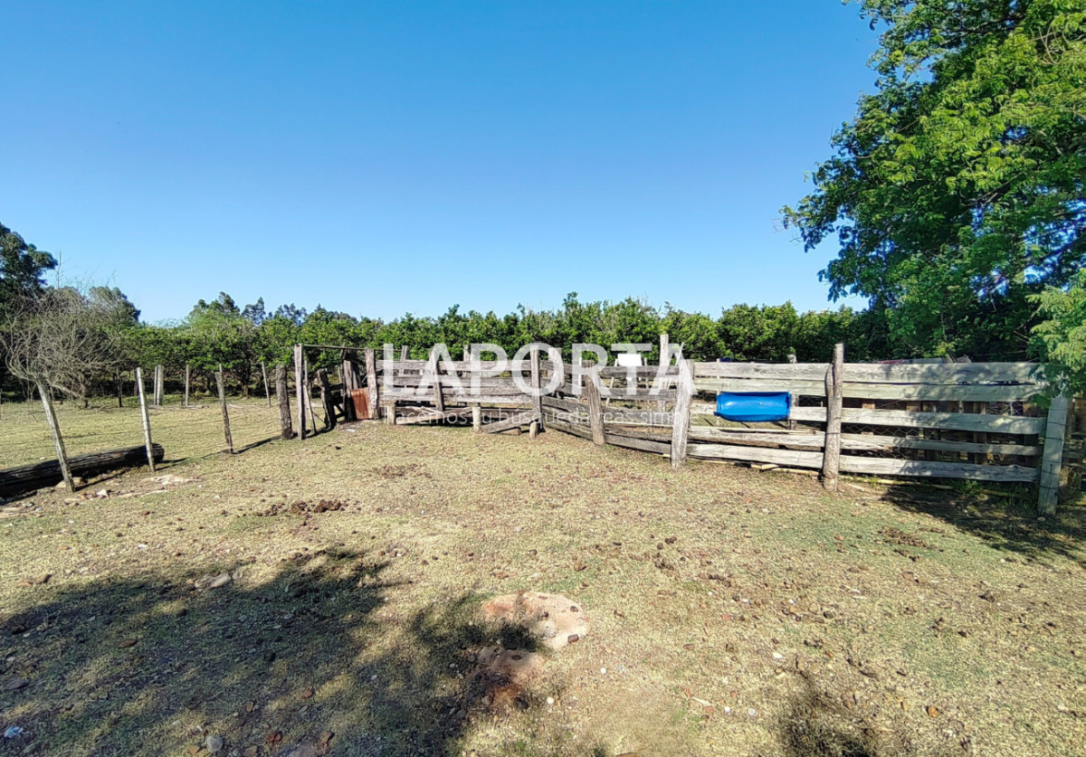 Chacra ID.1319/Chacra-en-venta-próxima-al-Hipódromo,-Salto. - Chacra en venta próxima al Hipódromo, Salto.