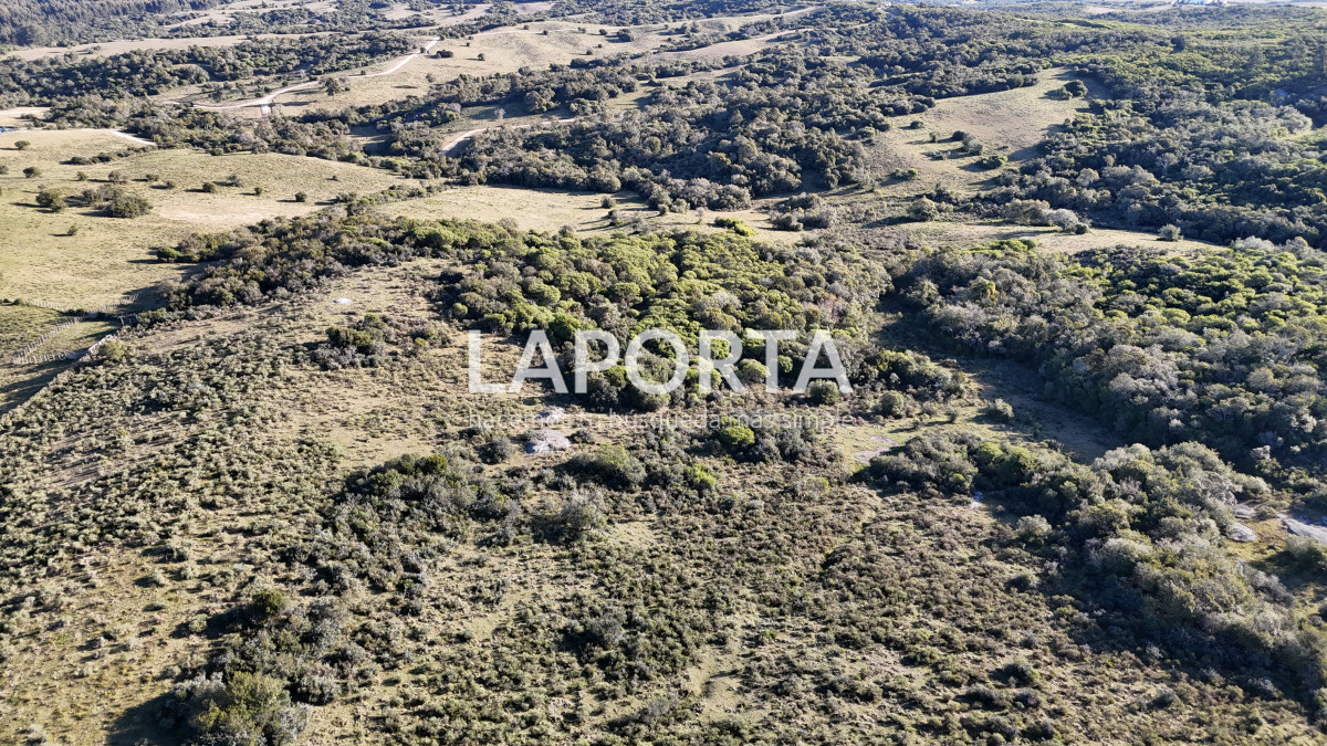 Chacra ID.1018/Venta-de-Chacra-en-Punta-del-Este-Sierras-de-Garzón - Venta de Chacra en Punta del Este Sierras de Garzón
