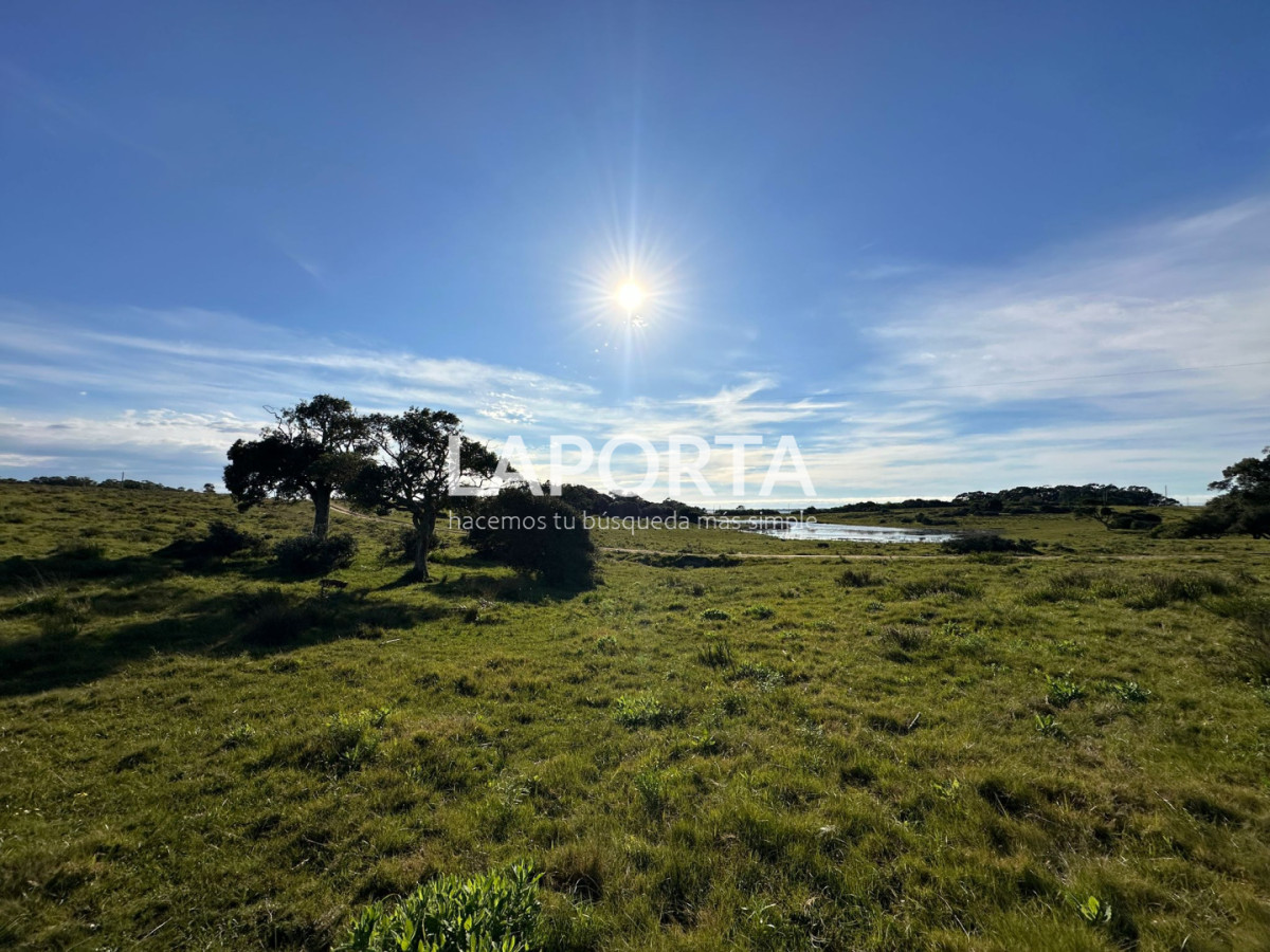Chacra ID.1652/Chacra-en-venta-en-José-Ignacio-PUnta-del-Este - Chacra en venta en José Ignacio PUnta del Este