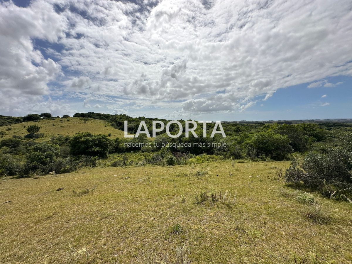 Chacra ID.127 - Chacra en venta en Punta del Este; Pueblo Garzón