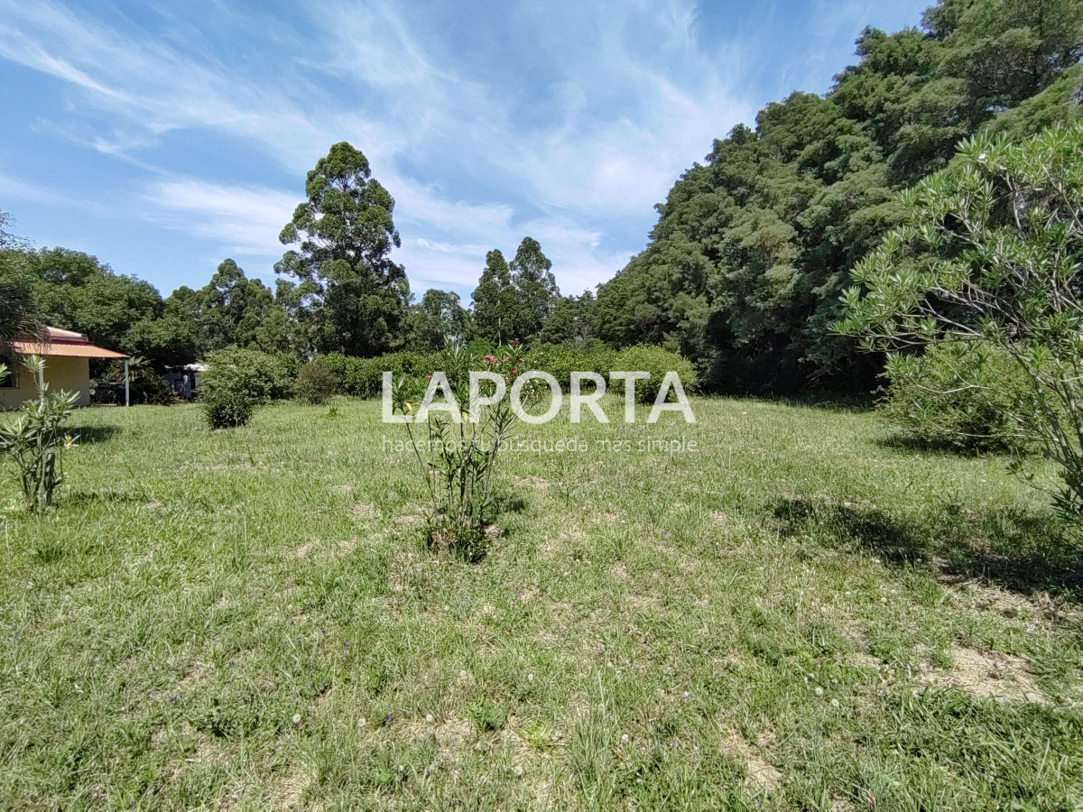 Chacra ID.490/Chacra-en-Venta-en-Salto - Chacra en Venta en Salto