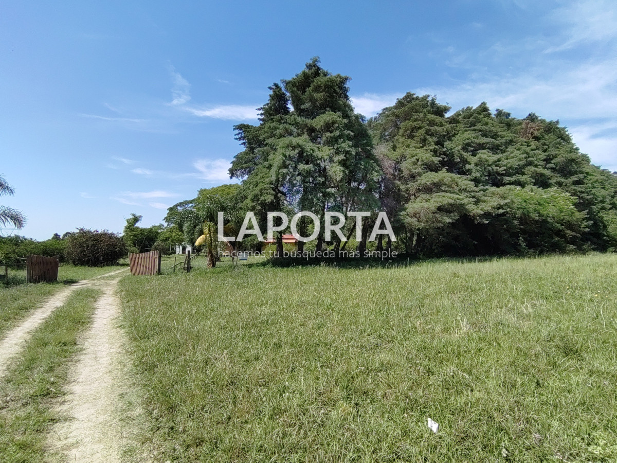 Chacra ID.490/Chacra-en-Venta-en-Salto - Chacra en Venta en Salto