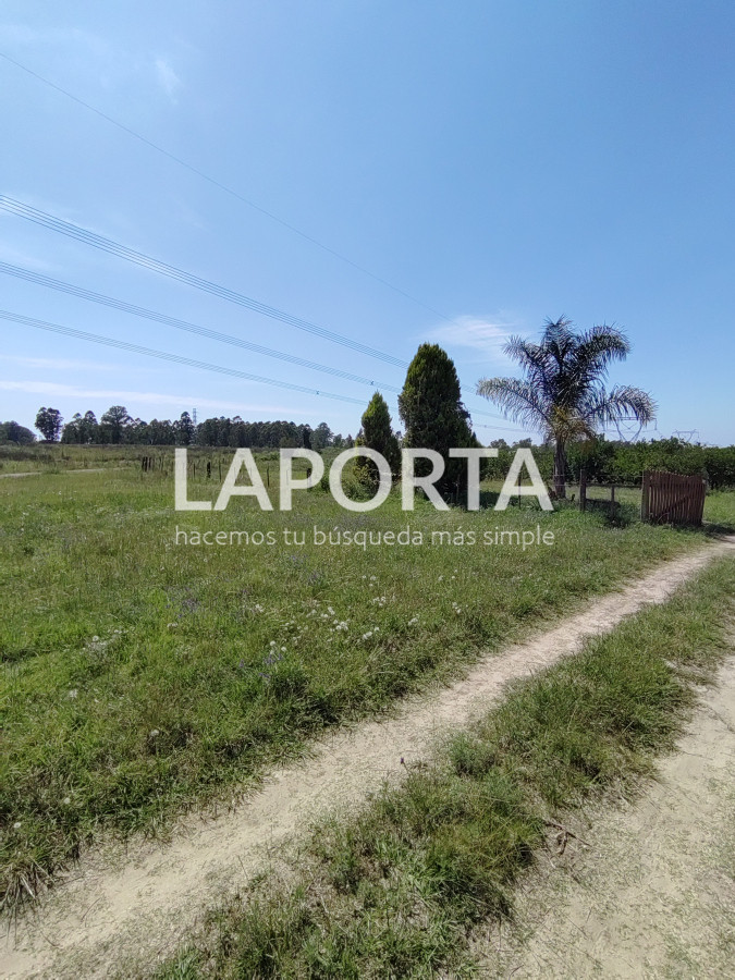 Chacra ID.490/Chacra-en-Venta-en-Salto - Chacra en Venta en Salto