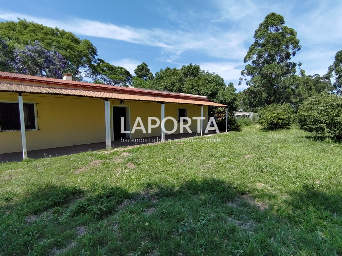 Chacra ID.490/Chacra-en-Venta-en-Salto - Chacra en Venta en Salto