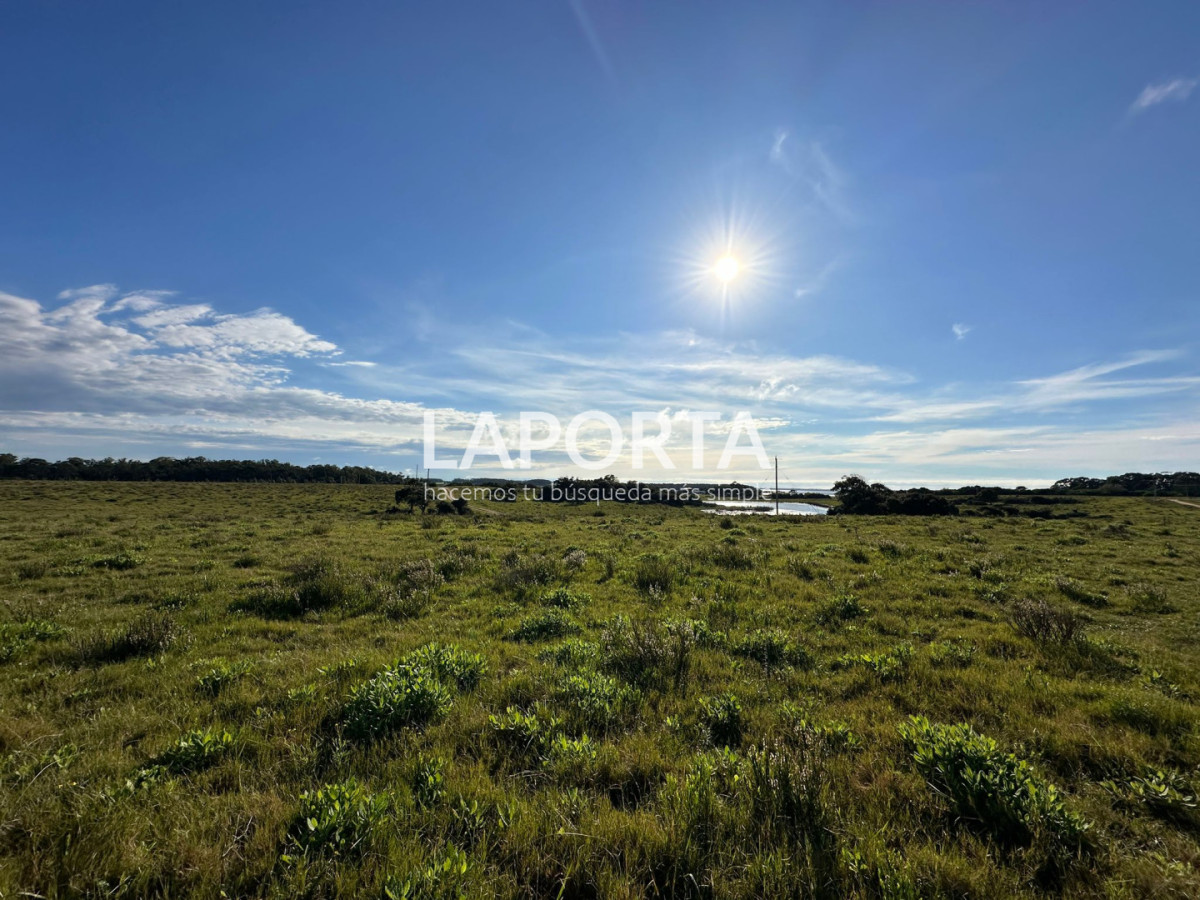 Chacra ID.1652/Chacra-en-venta-en-José-Ignacio-PUnta-del-Este - Chacra en venta en José Ignacio PUnta del Este
