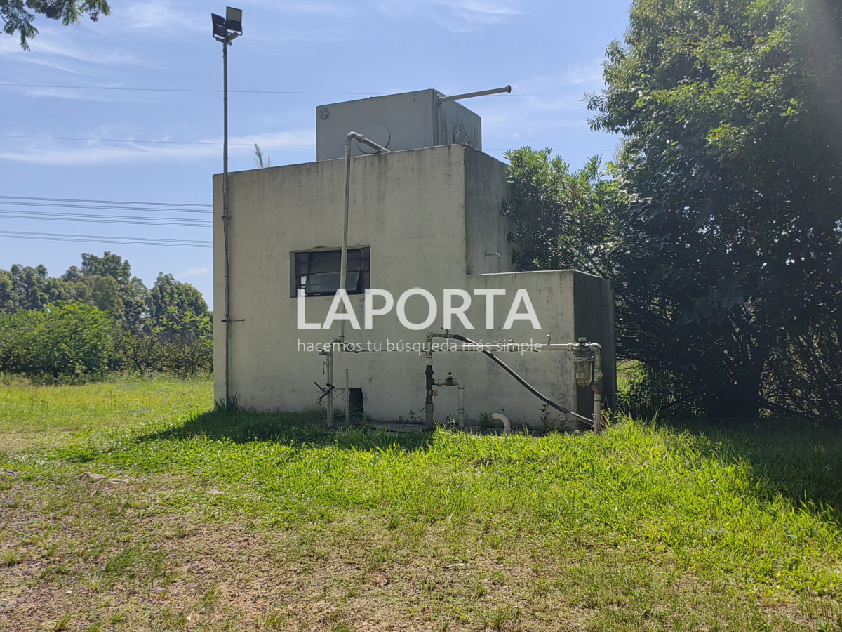 Chacra ID.490/Chacra-en-Venta-en-Salto - Chacra en Venta en Salto