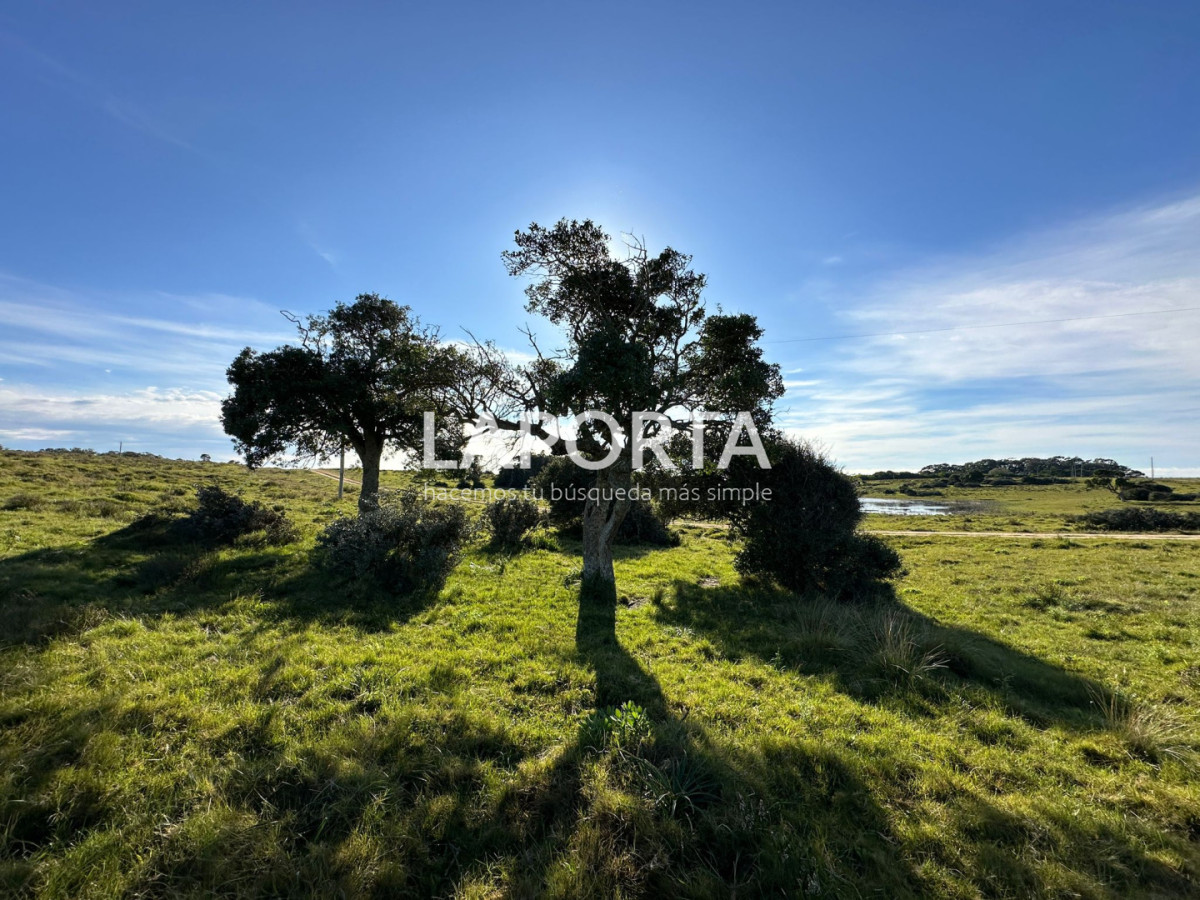 Chacra ID.1652/Chacra-en-venta-en-José-Ignacio-PUnta-del-Este - Chacra en venta en José Ignacio PUnta del Este